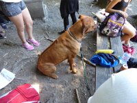 2015-07 Schulreise 181